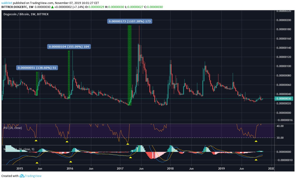 DOGE Future