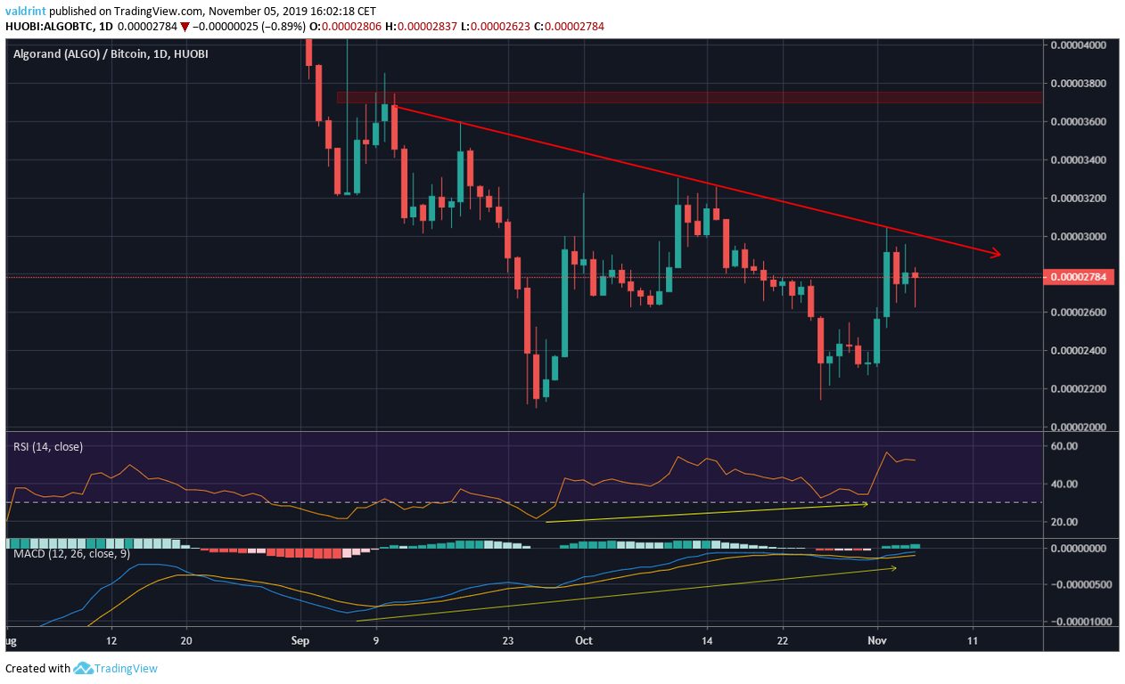 Algo Bullish Divergence