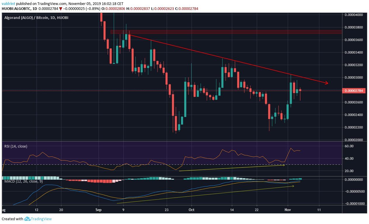 Algo Bullish Divergence