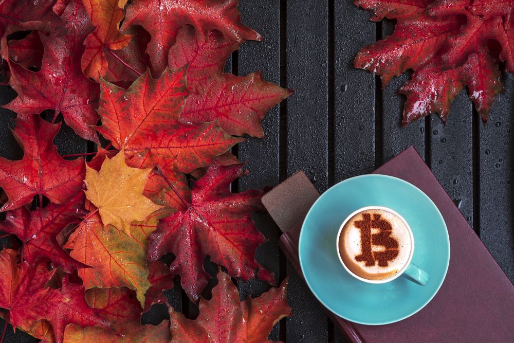 Bitcoin BTC Fall