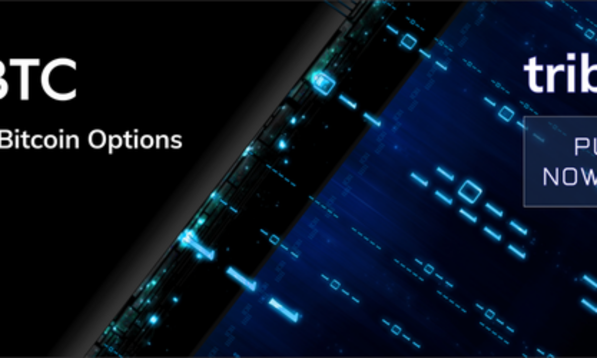 Tr binary options testbericht