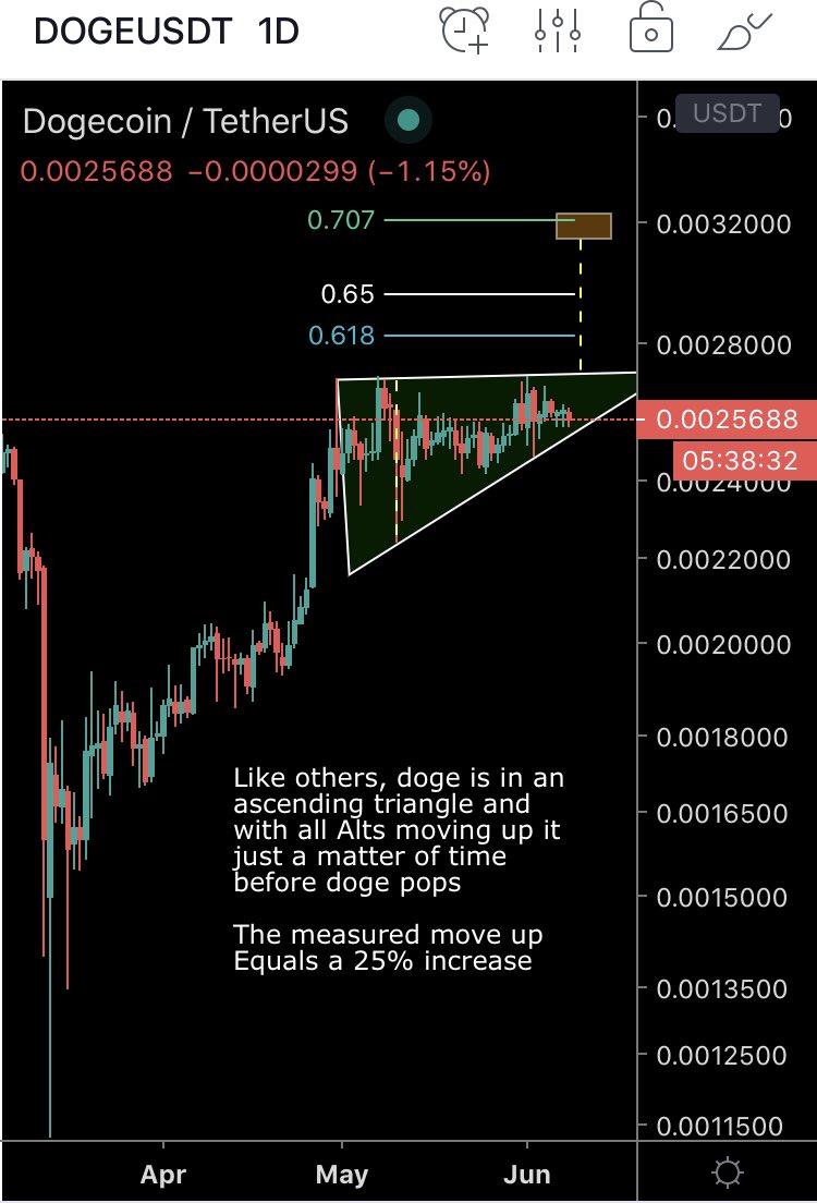 DOGE Movement