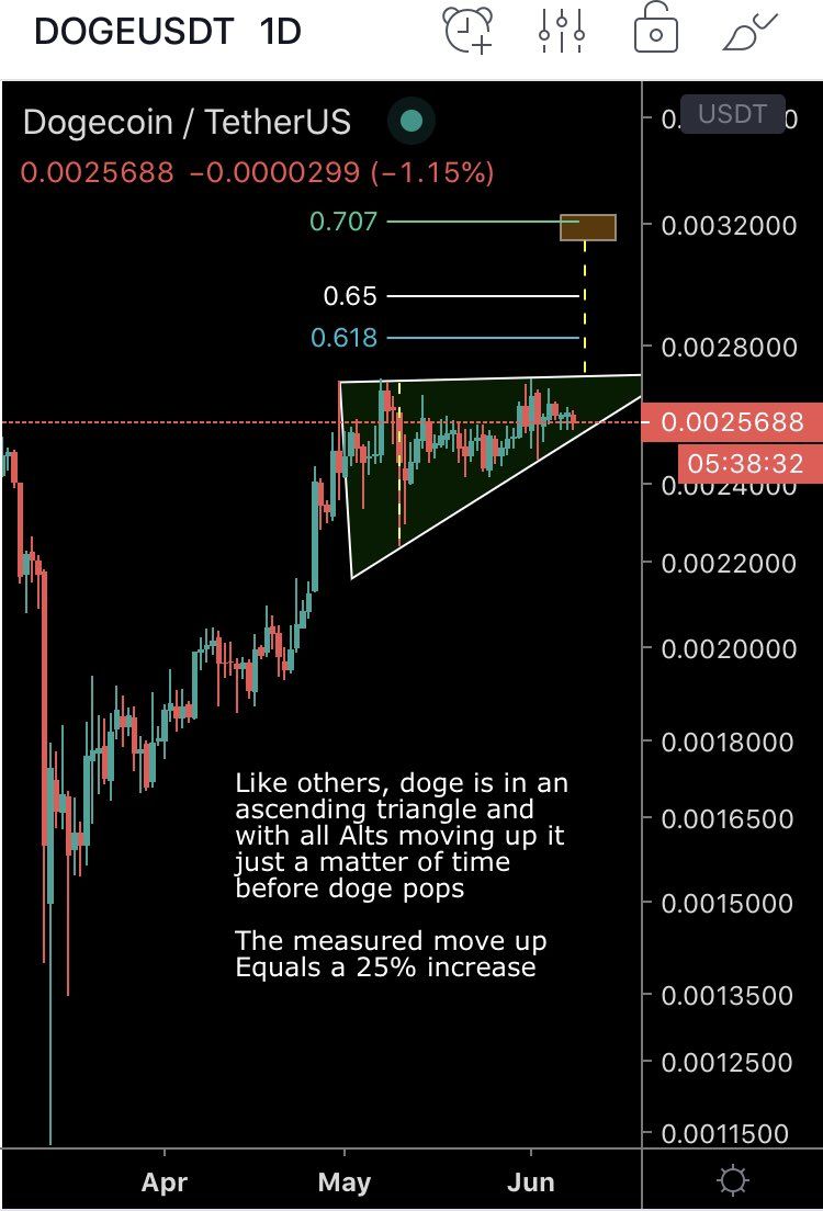 DOGE Movement