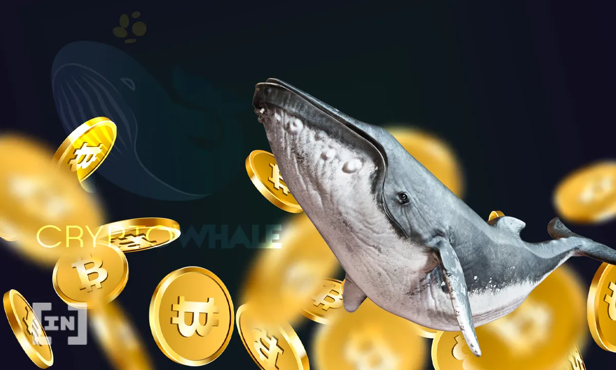 crypto whale telegram