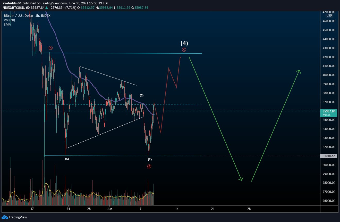 BTC Count