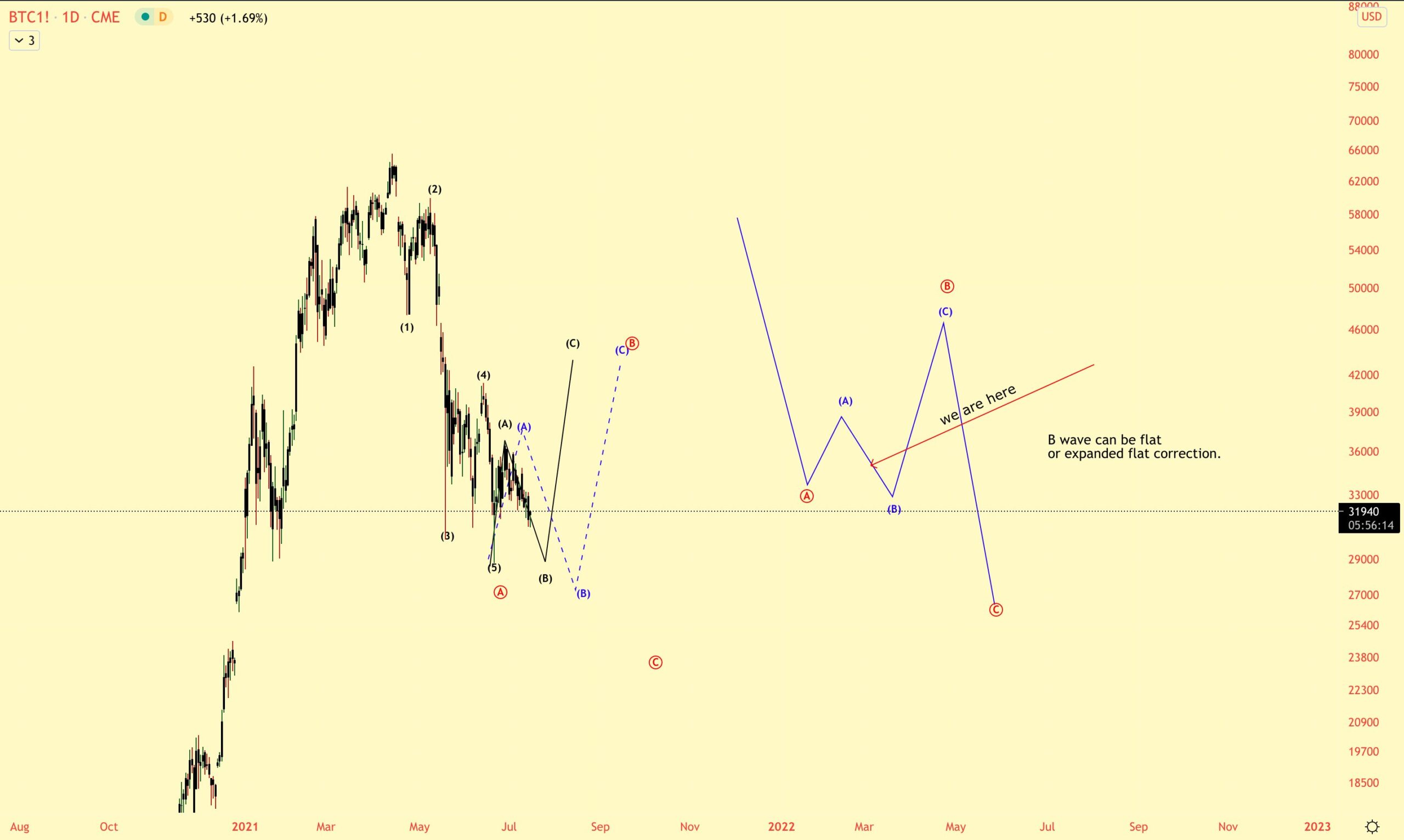 BTC count