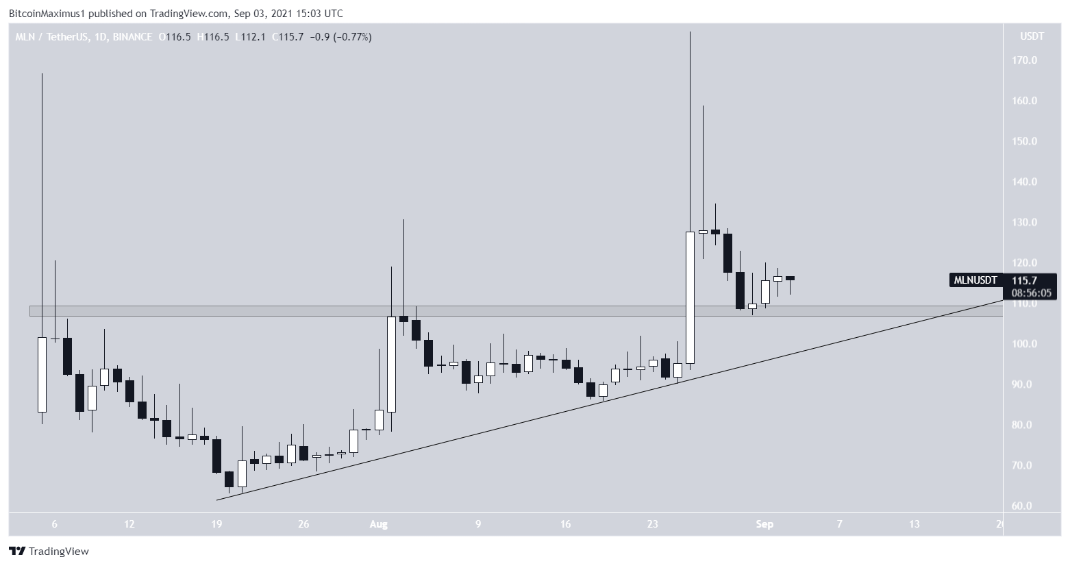 MLN support