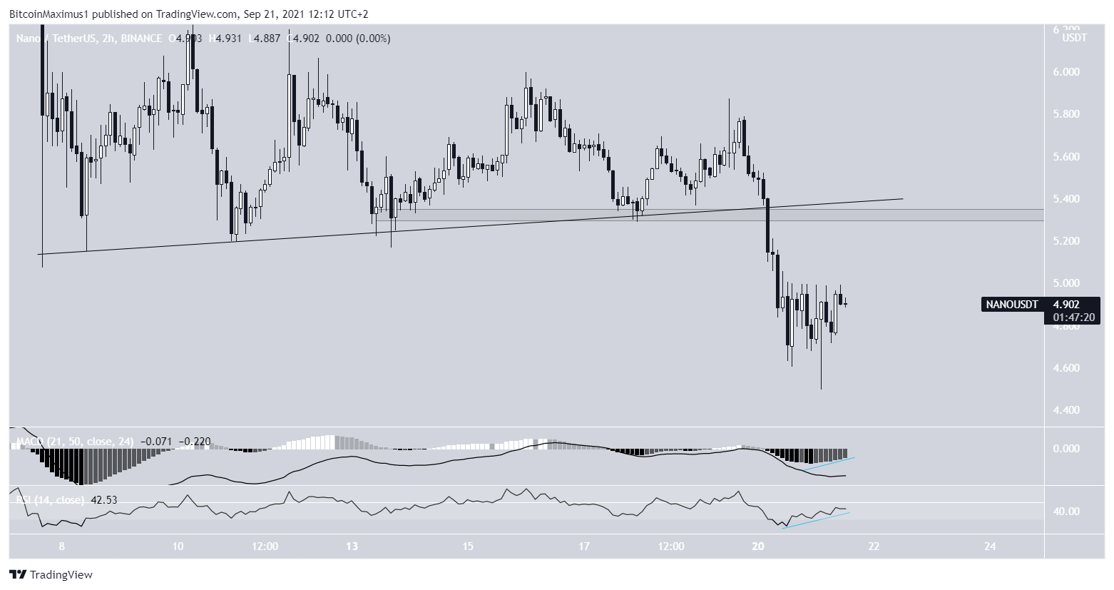 NANO short-term