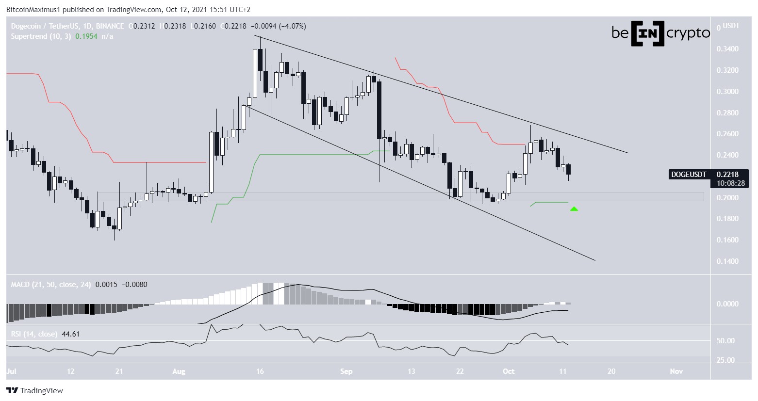 DOGE Decrease