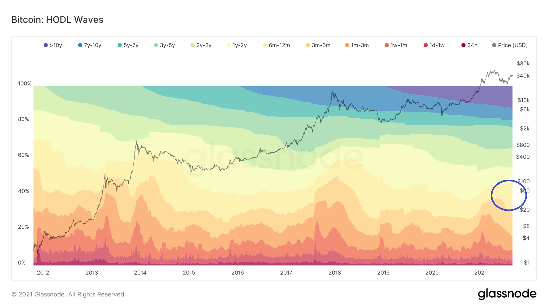 BTC HODL Wave