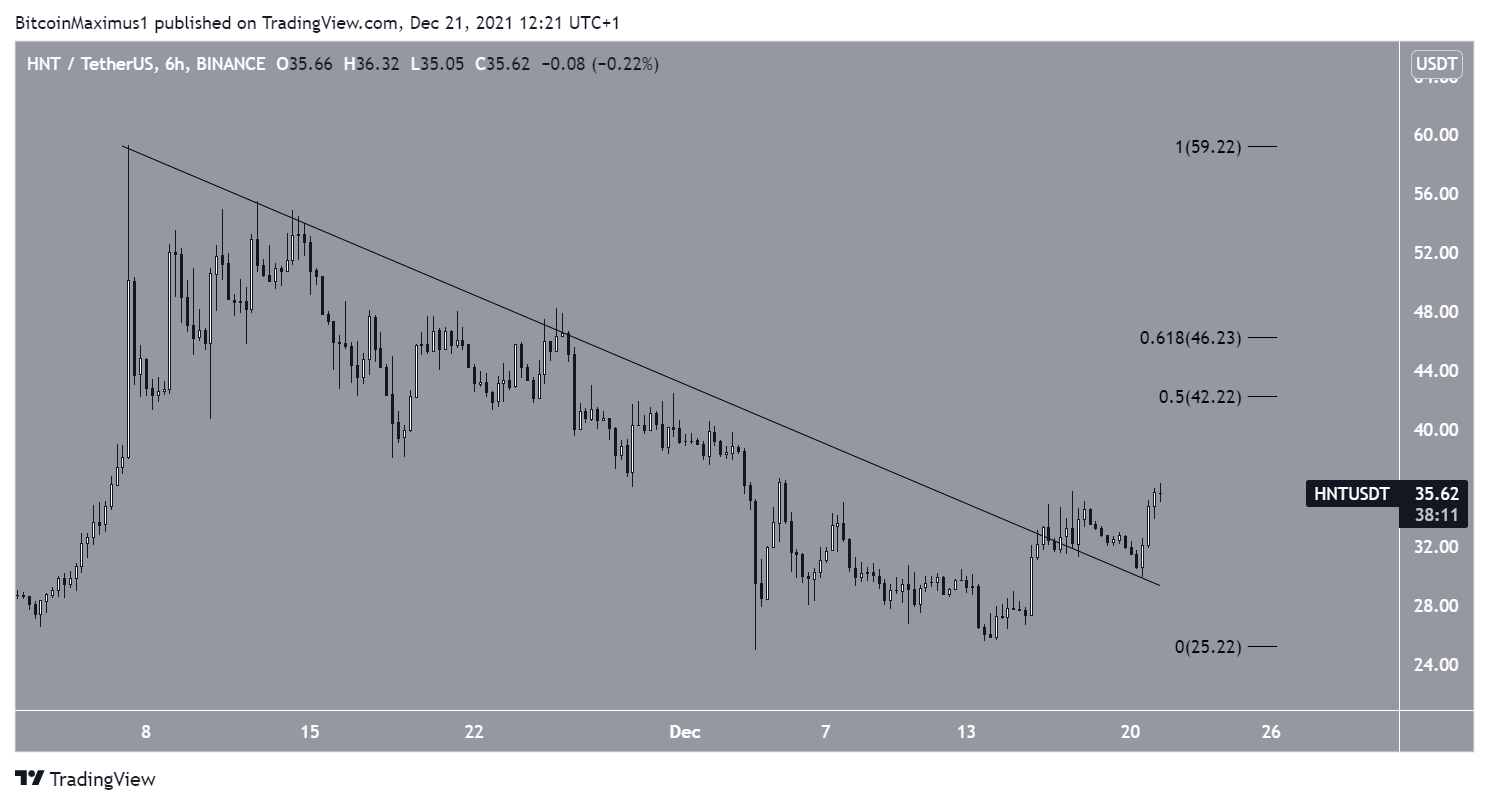 HNT Resistance