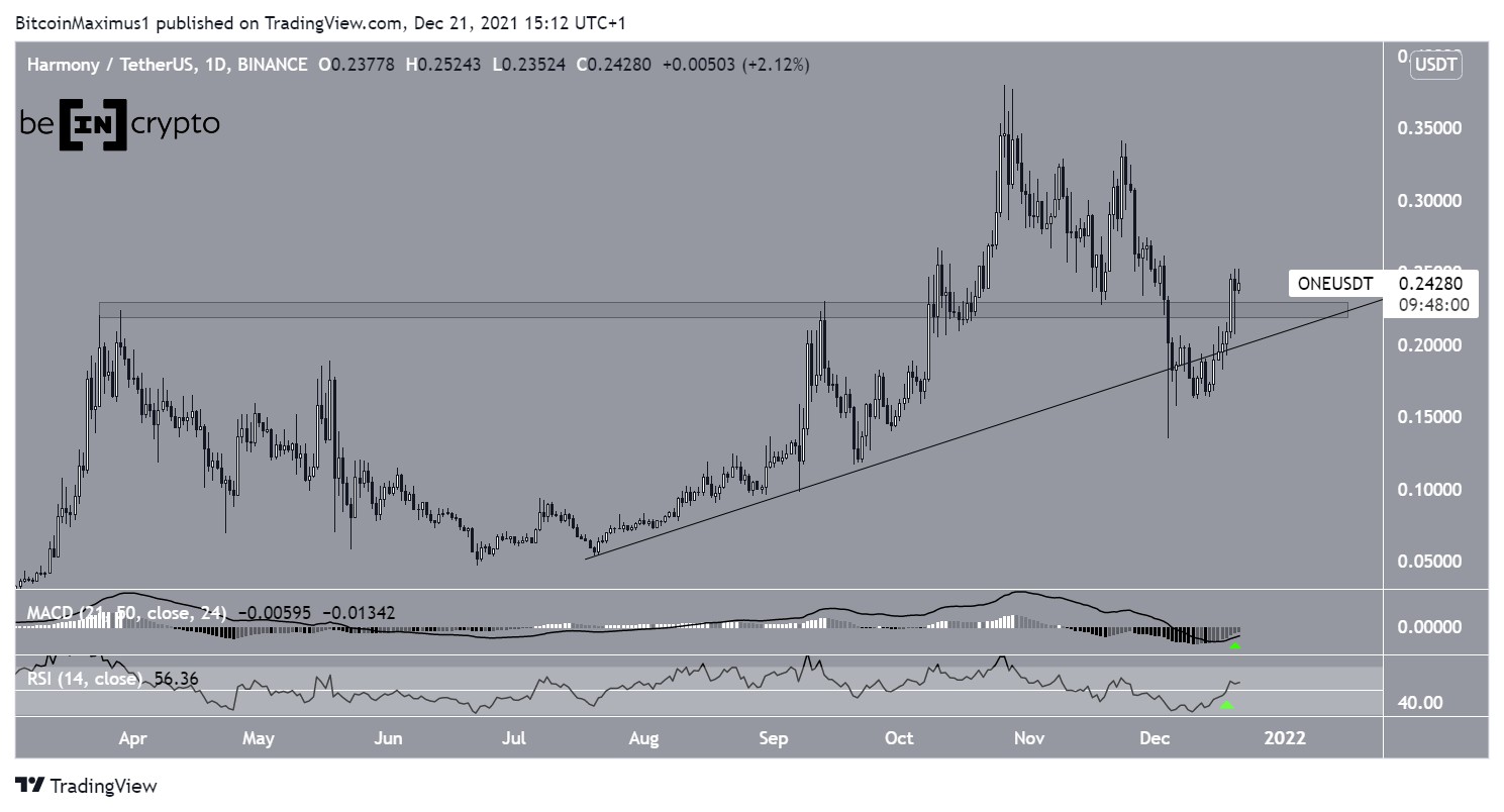 BTC Support