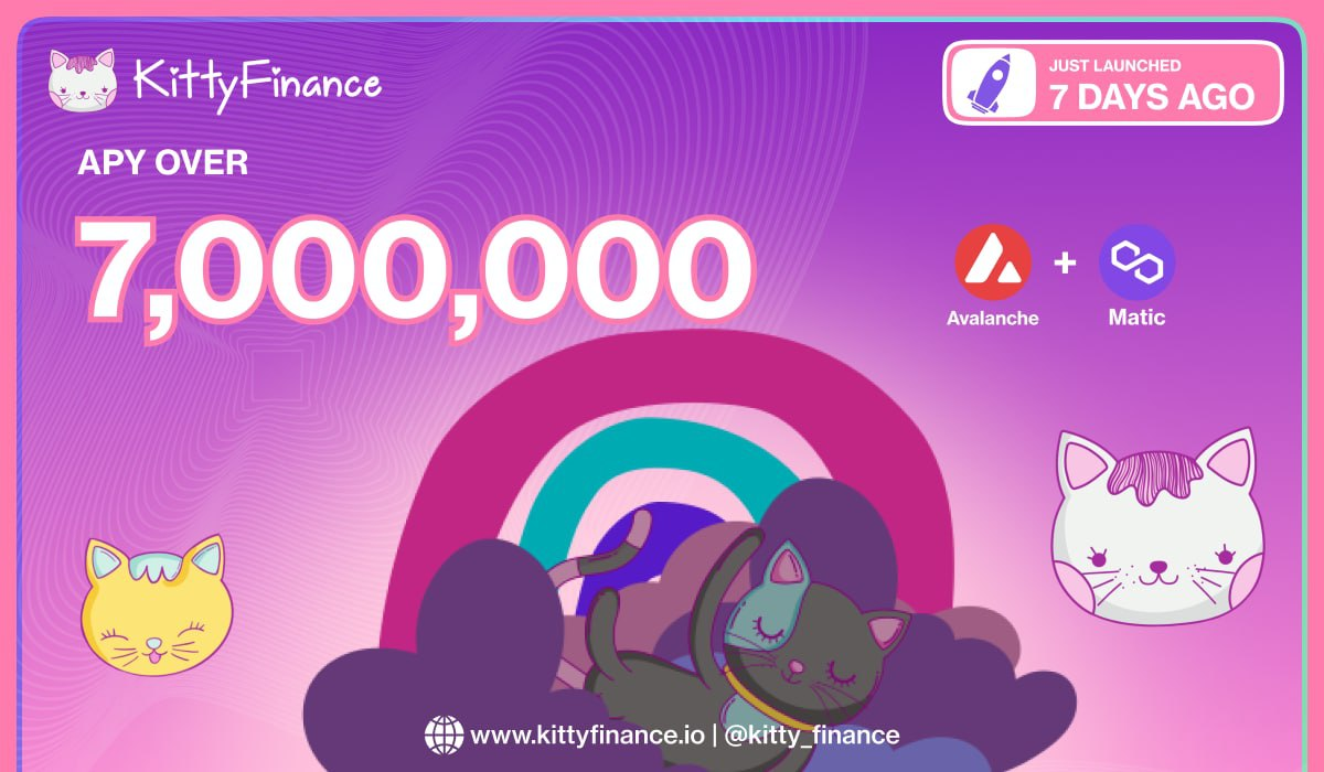 Kitty Finance Projected to Reach Over $50M TVL in One Month