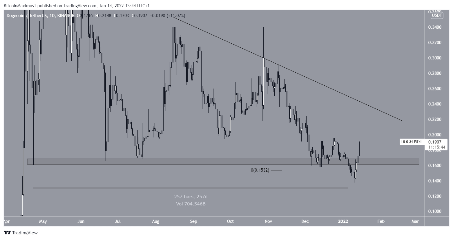 DOGE Movement