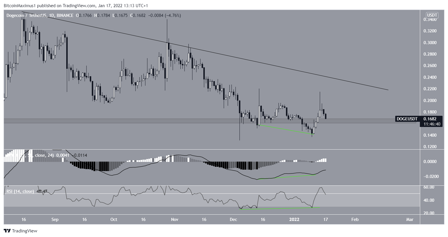 DOGE Resistance