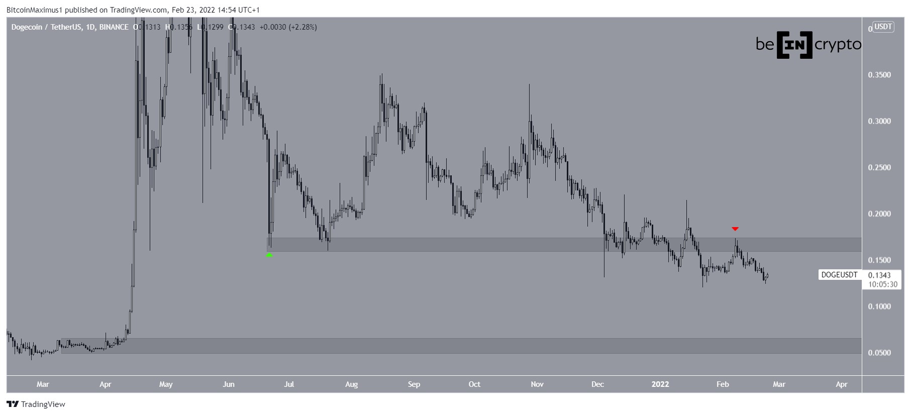 DOGE Support