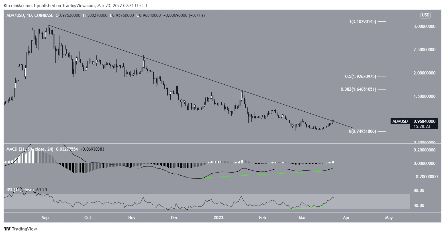 ADA Altcoin Pozitif Uyumsuzluk