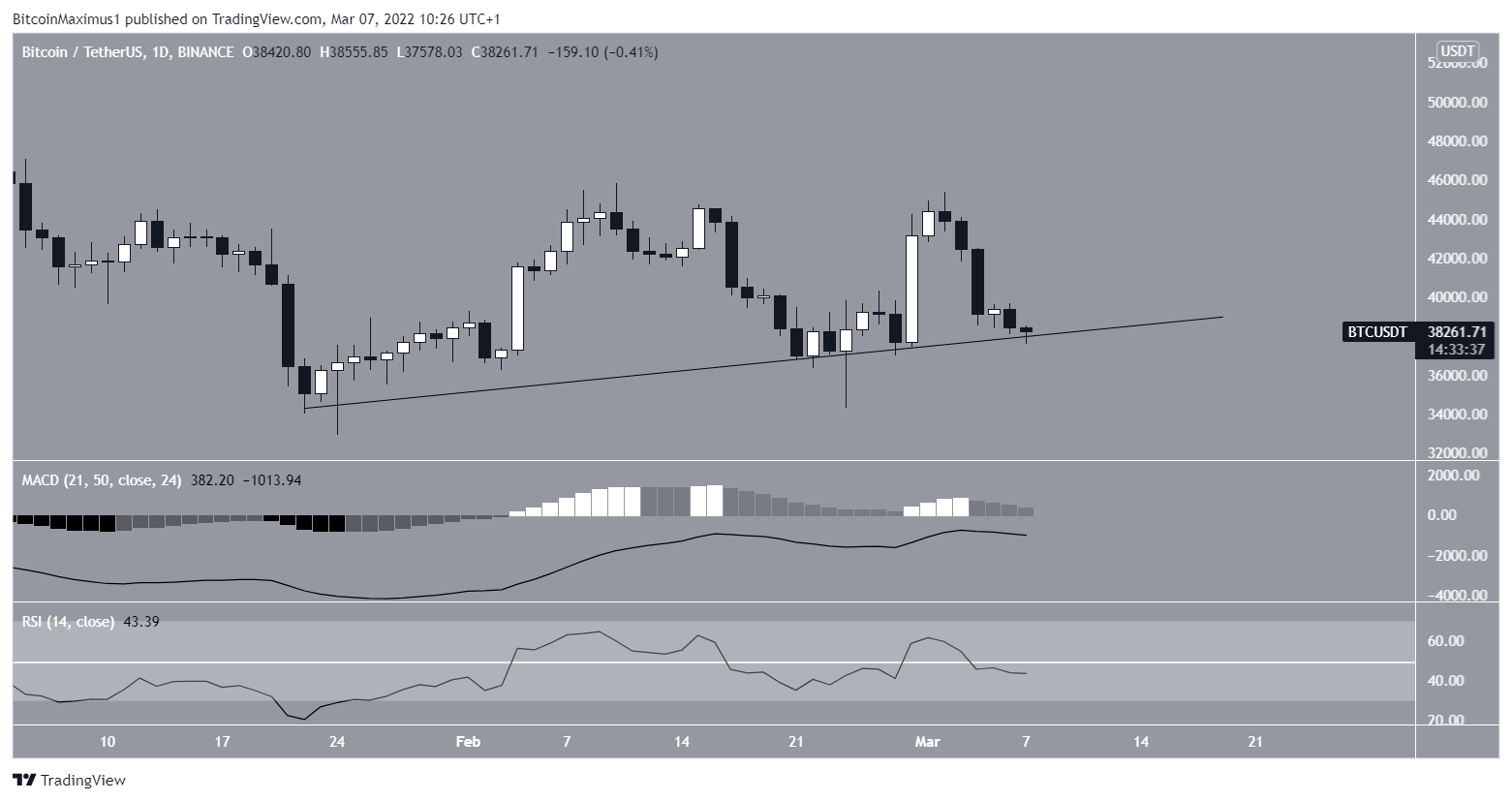 BTC support