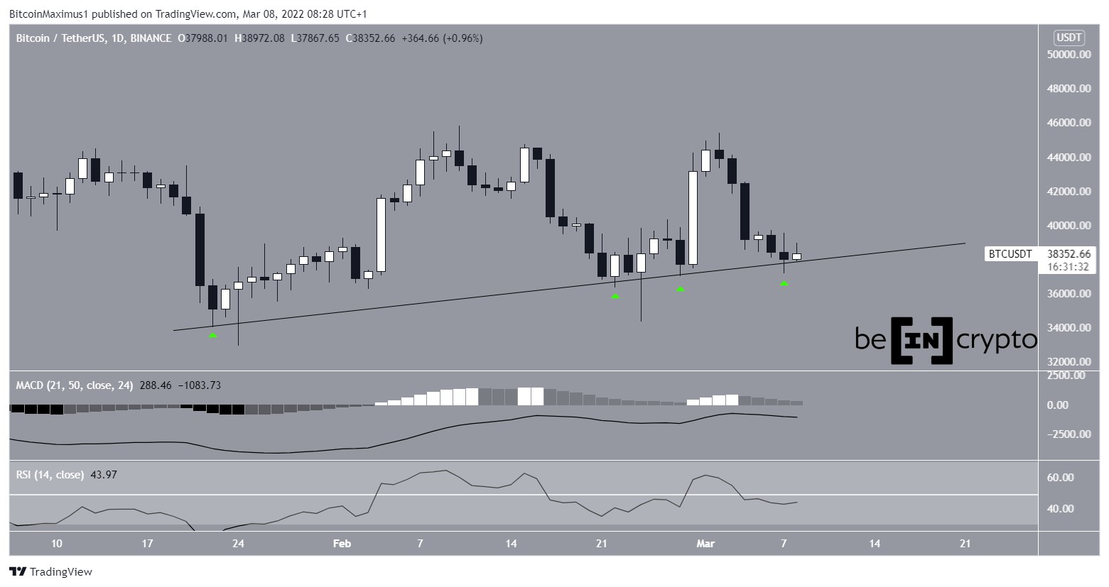 BTC Support