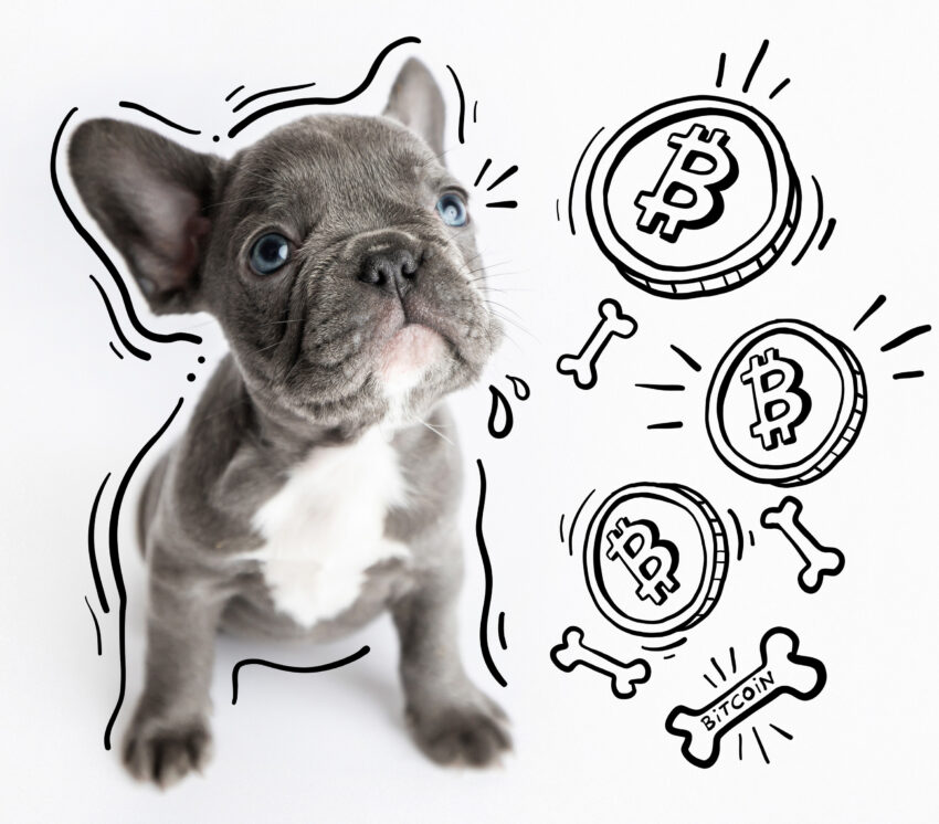 Bulldogs on the blockchain