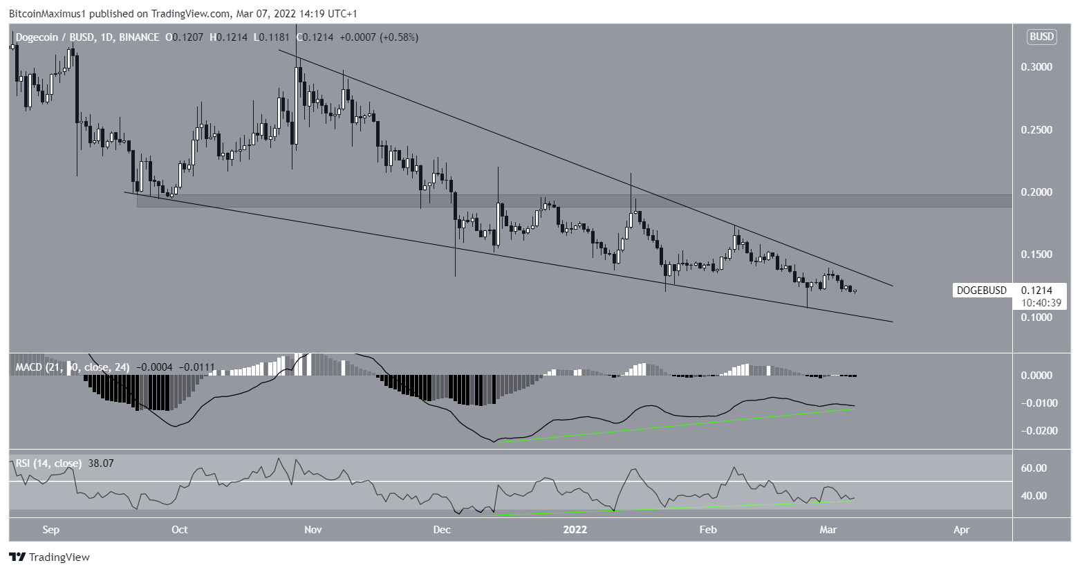 DOGE Wedge