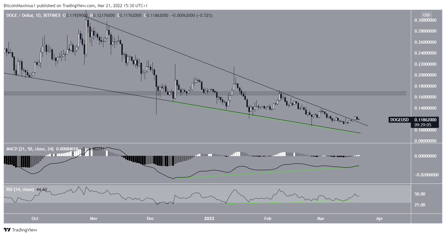 DOGE Divergence