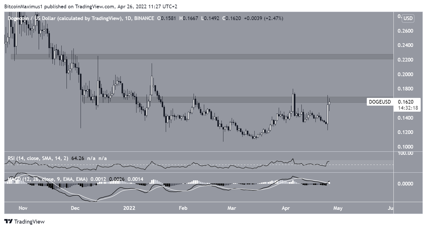 DOGE Daily