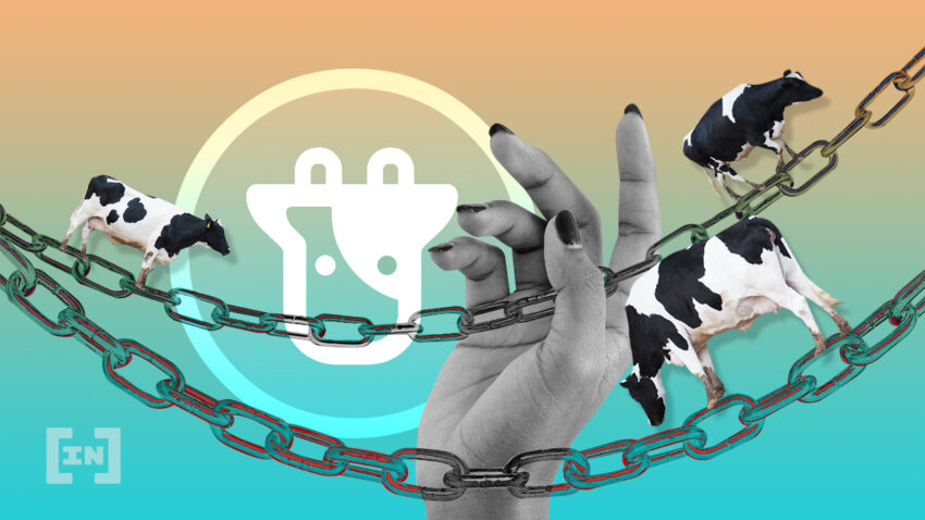 what is beefy finance?