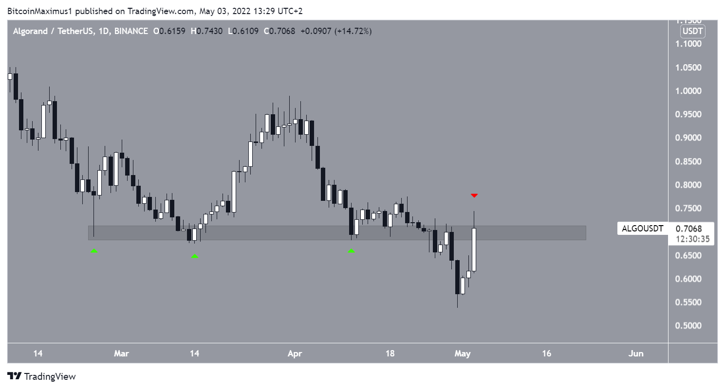 ALGO Resistance APE