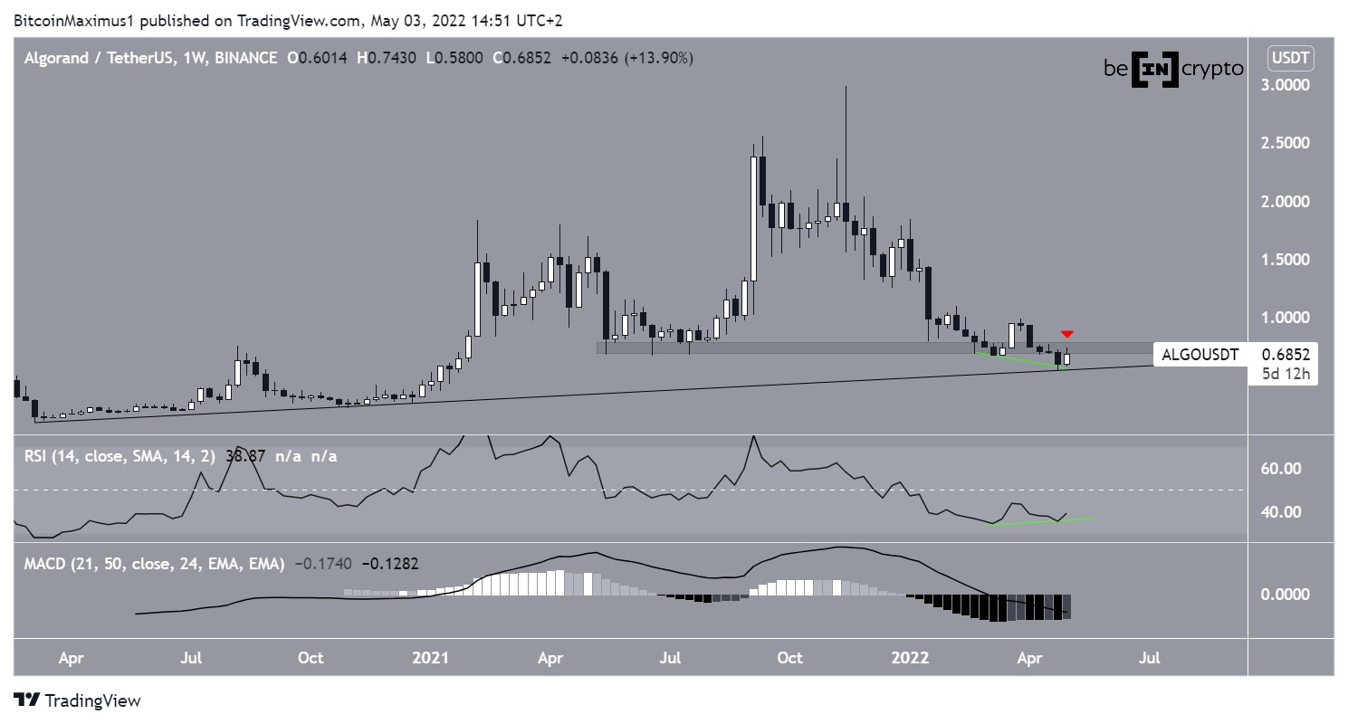 ALGO Ascending support