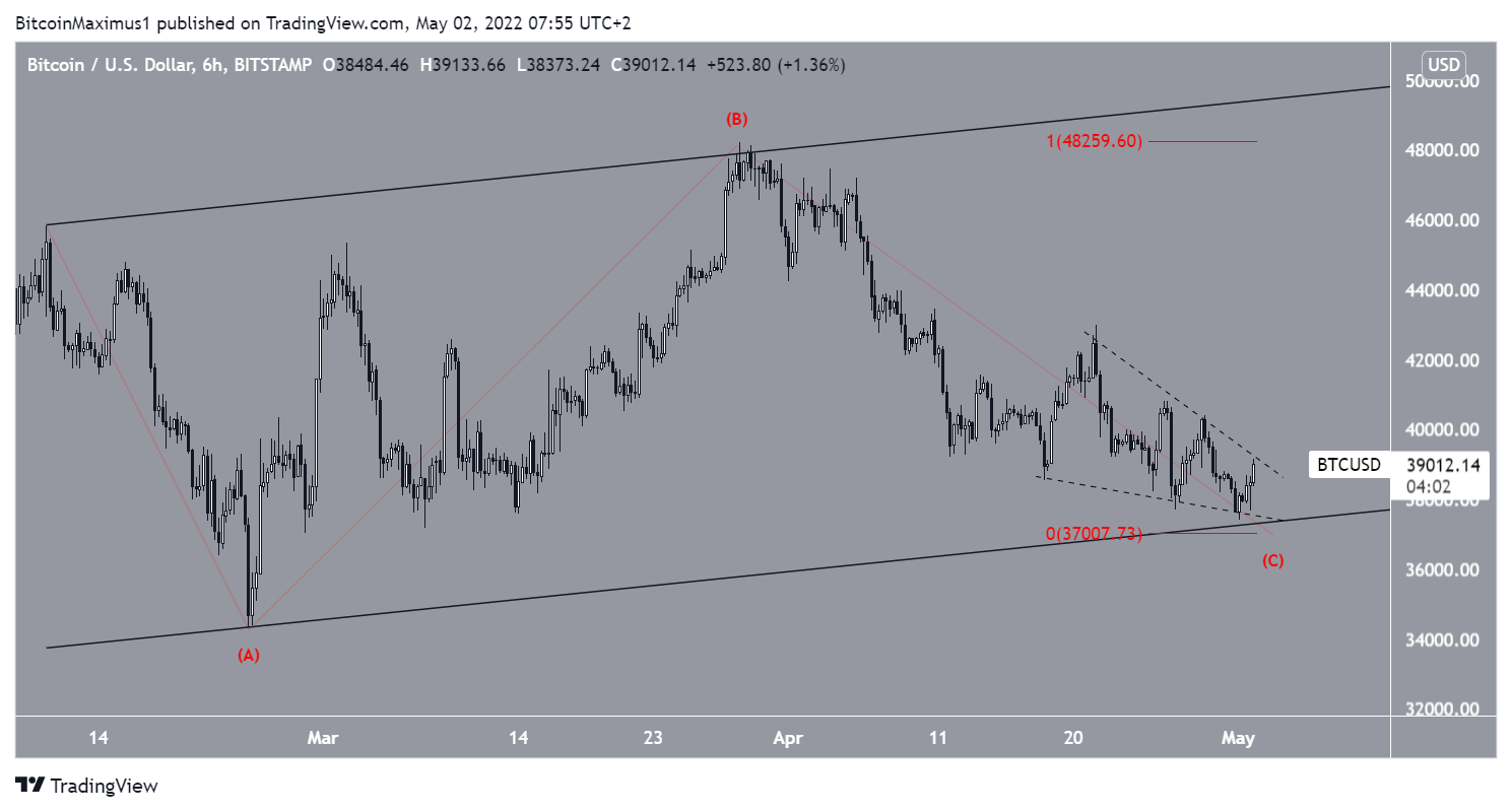 BTC Count