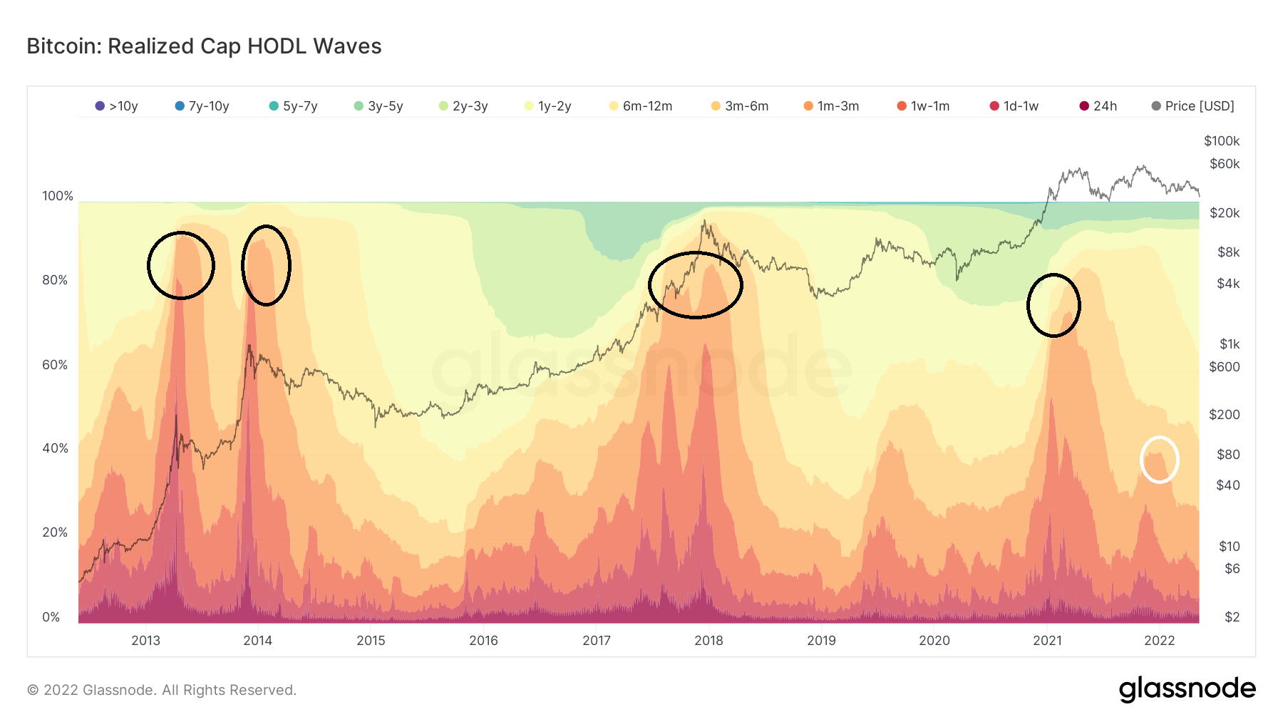 HODL Wave