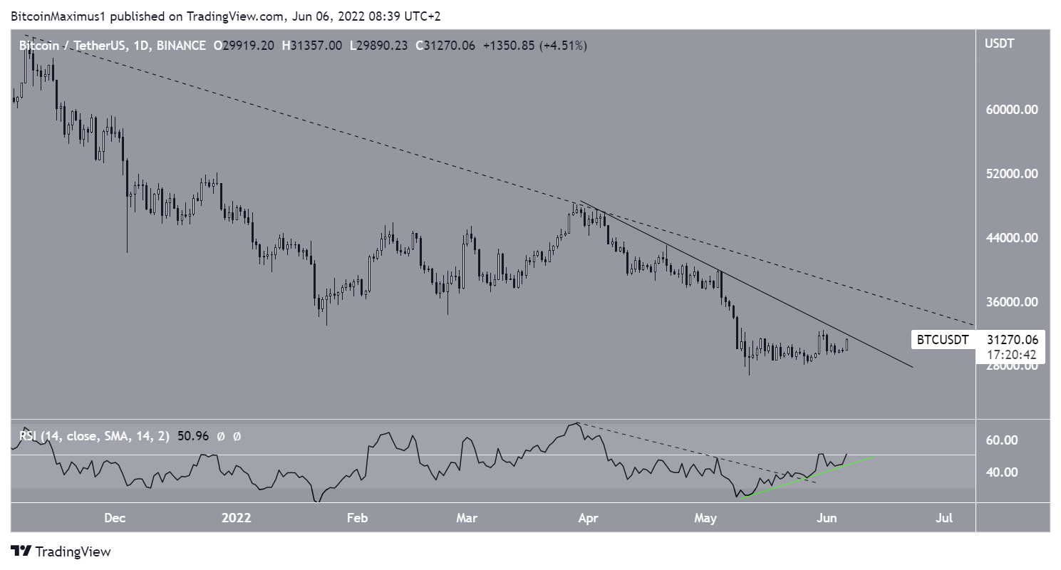 Daily RSI reading