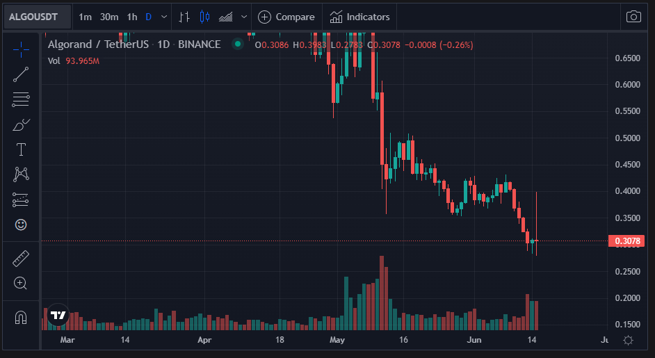 ALGO Bounce