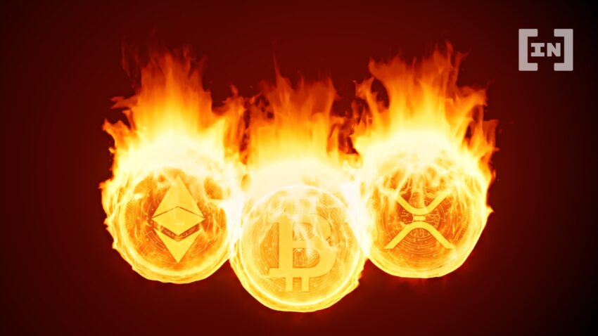 Bear Market: Managing Risks in a Crypto Meltdown