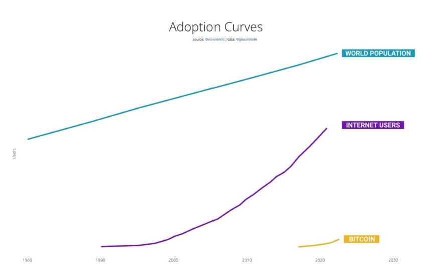 Bitcoin adoption Willy Woo
