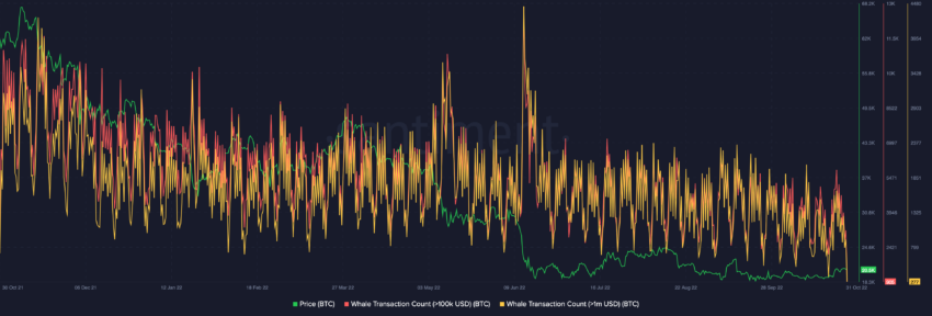 Bitcoin whales Bitcoin whale transaction count | Source: Santiment