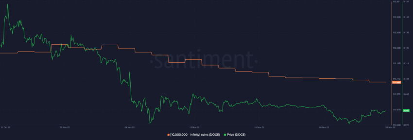 DOGE Supply Distribution by balance of addresses | Source: Sanbase
