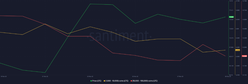 Supply distribution by balance of addresses | Source: Santiment