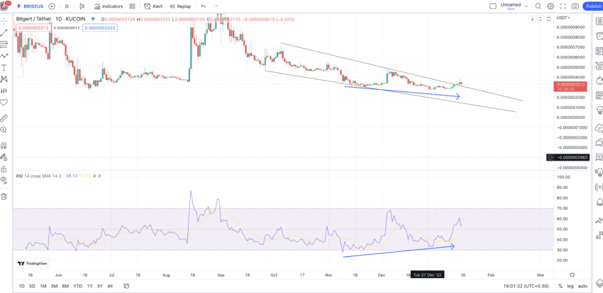 Bitgert (BRISE) Price Prediction 2023/2025/2030