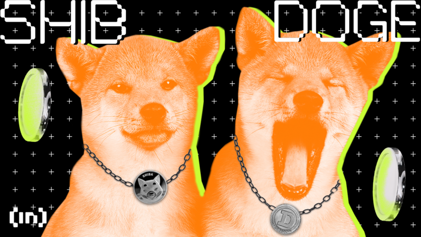 Dogecoin (DOGE) vs Shiba Inu (SHIB): What’s the Difference?
