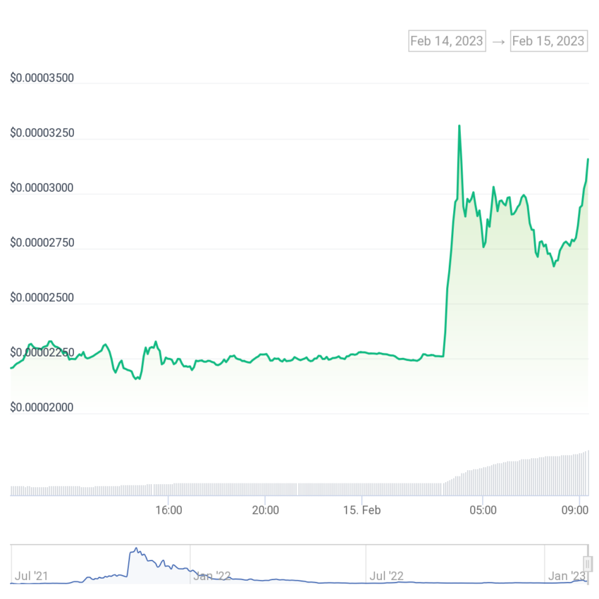 One Day FLOKI/USD Chart on CoinGecko