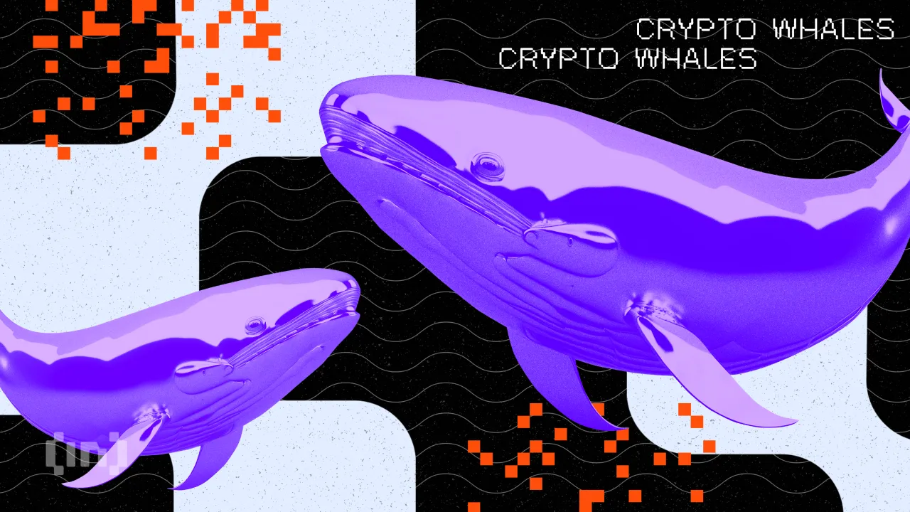 Are Whales Accumulating These Four Tokens