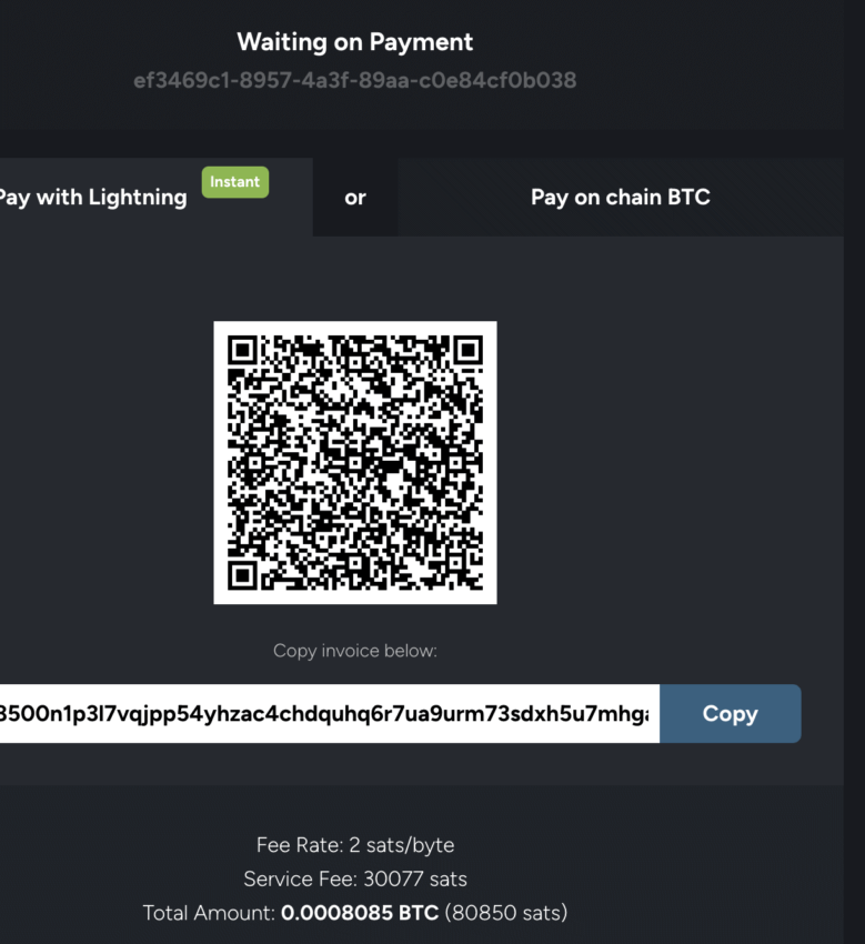 payment set up