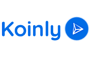 <a href="https://koinly.io/" target="_blank">www.koinly.io </a>
