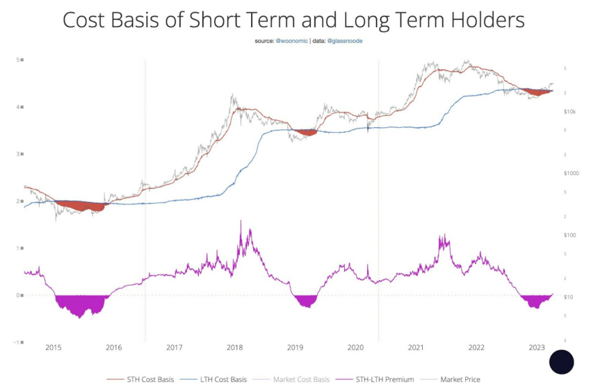 Cost Basis of Short Term and Long Term Holders crypto market