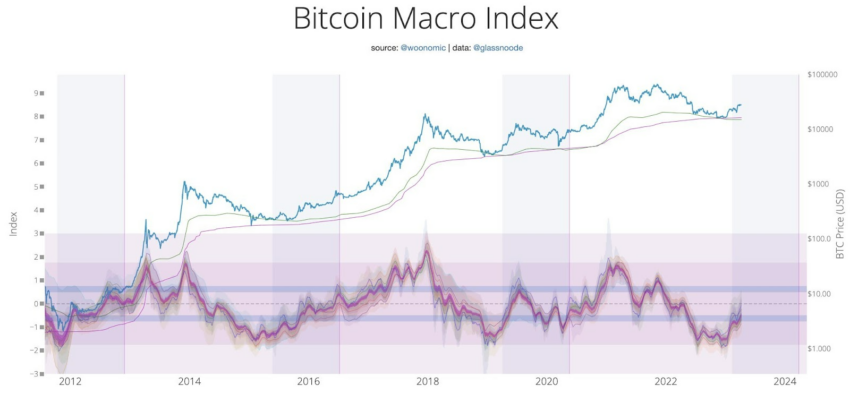 Bitcoin (BTC) Macro Index Chart 2012 - 2023. Willy Woo On-chain analyst