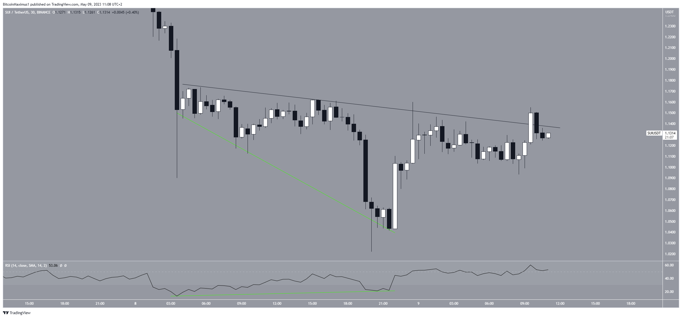 SUI Price Forecast
SUI Price Analysis
SUI Price Prediction