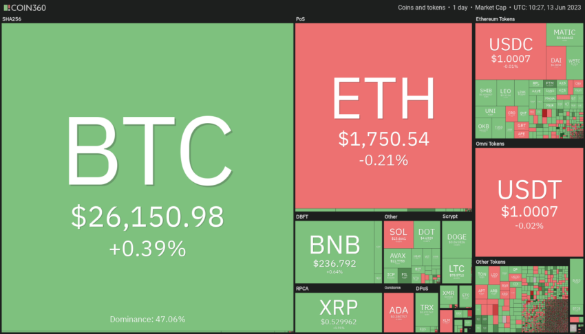 Crypto Market Performance