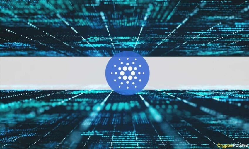 Avorak AI Explores Cardano Interoperability For Trading Platform